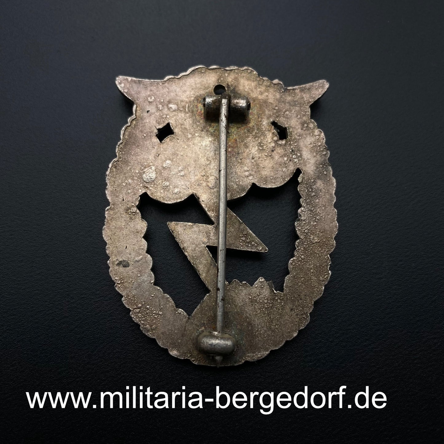 Erdkampfabzeichen der Luftwaffe AWS