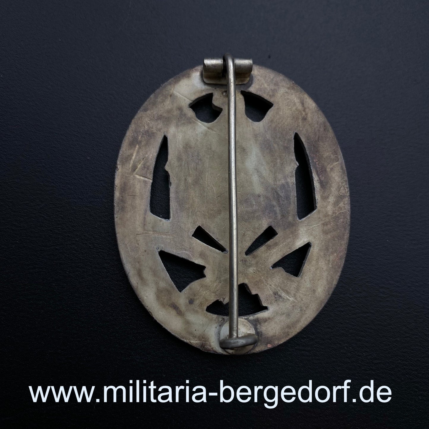 Allgemeines Sturmabzeichen CupAl