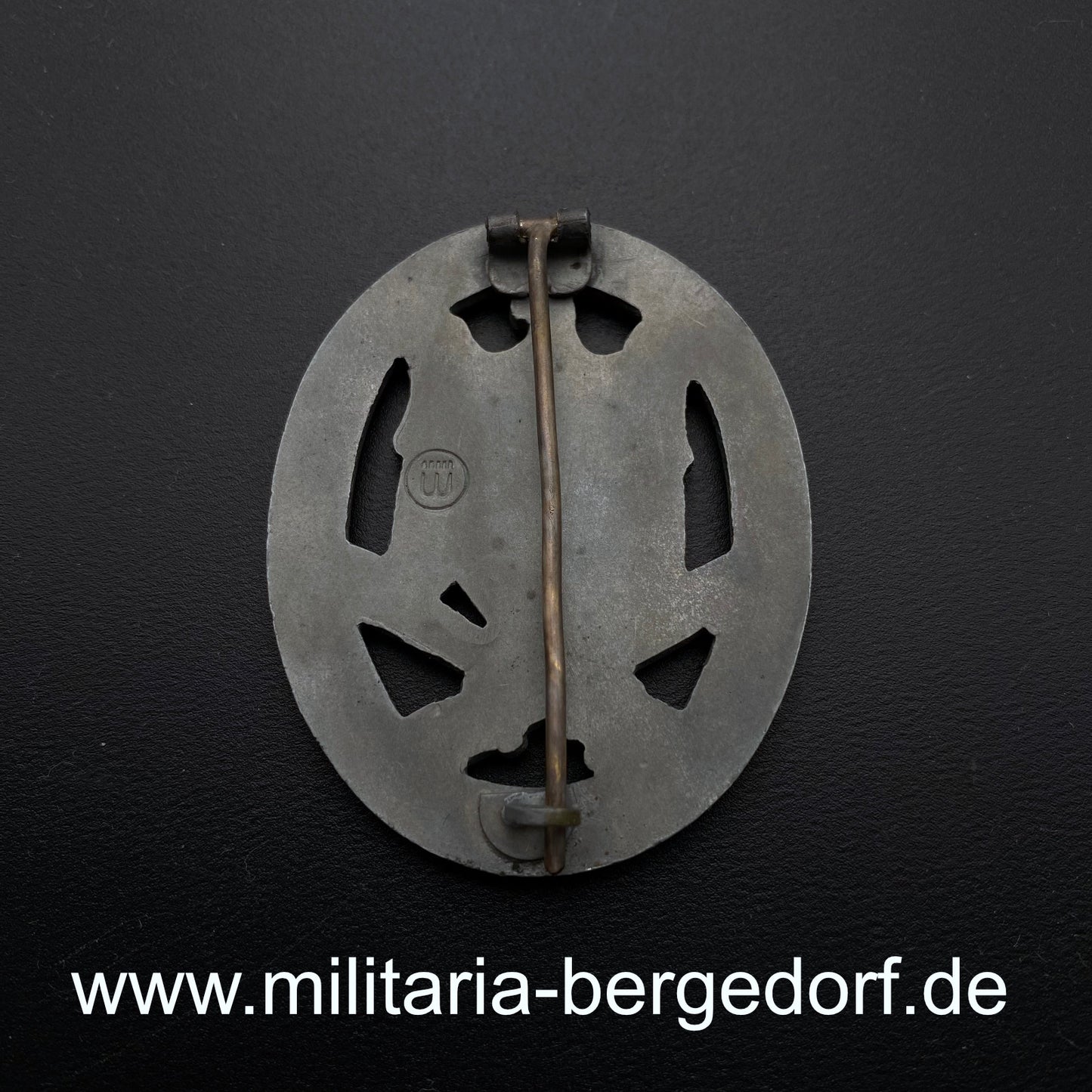 Allgemeines Sturmabzeichen